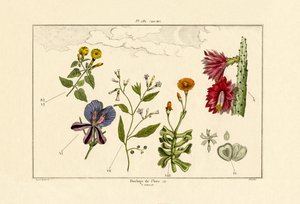 花時計、1833-39 作： French School